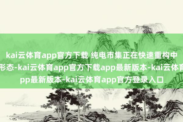 kai云体育app官方下载 纯电市集正在快速重构中国汽车行业的竞争形态-kai云体育app官方下载app最新版本-kai云体育app官方登录入口